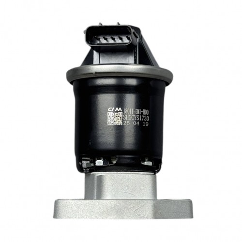 Honda Valf Egr Cıvıc 12-21