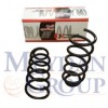 VOLKSWAGEN PASSAT- B5- 01/05; ARKA HELEZON YAYI SAĞ/SOL (2Lİ SET) 1.6cc/1.8/1.9TDI (13,25X124) (STDR VOLKSWAGEN PASSAT- B5- 01/05; ARKA HELEZON YAYI SAĞ/SOL (2Lİ SET) 1.6cc/1.8/1.9TDI (13,25X124) (STDR
