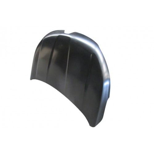 RENAULT EXPRESS- 21/24; MOTOR KAPUTU (İCELİ/ÇEKOMASTİKLİ) (TW)