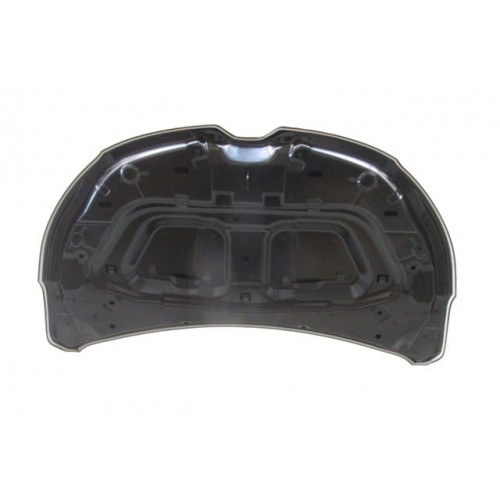 RENAULT EXPRESS- 21/24; MOTOR KAPUTU (İCELİ/ÇEKOMASTİKLİ) (TW)