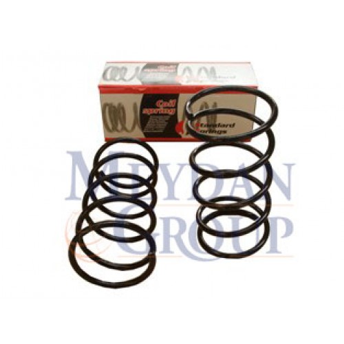 PEUGEOT 106- 91/96; ÖN HELEZON YAYI SAĞ/SOL (2Lİ SET)1.1/1.3/1.4cc (12X156X334)(STDR)