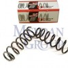 PEUGEOT 406- 95/04; ARKA HELEZON YAYI SAG/SOL (2LI SET) 2.0cc (13X116X360)(STDR)