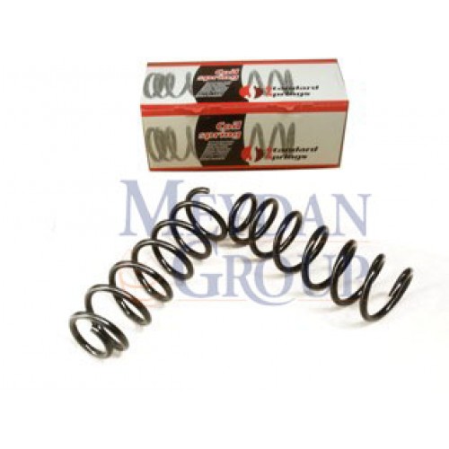 PEUGEOT 406- 95/04; ARKA HELEZON YAYI SAG/SOL (2LI SET) 2.0cc (13X116X360)(STDR)