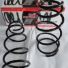 TOYOTA YARIS- 00/06; ÖN HELEZON YAYI SAĞ/SOL (2 Lİ SET) (STDR) TOYOTA YARIS- 00/06; ÖN HELEZON YAYI SAĞ/SOL (2 Lİ SET) (STDR)