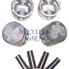 NISSAN PICK UP- D21- 89/97; PİSTON STD ÇELİK 28 PERNO (TD25) 2.5cc (93X2.5X2X4) (TIK)